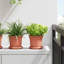 Pot Planter
