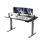 Rise Up Dual Motor Electric Standing Desk with a MDF 48x30 Top