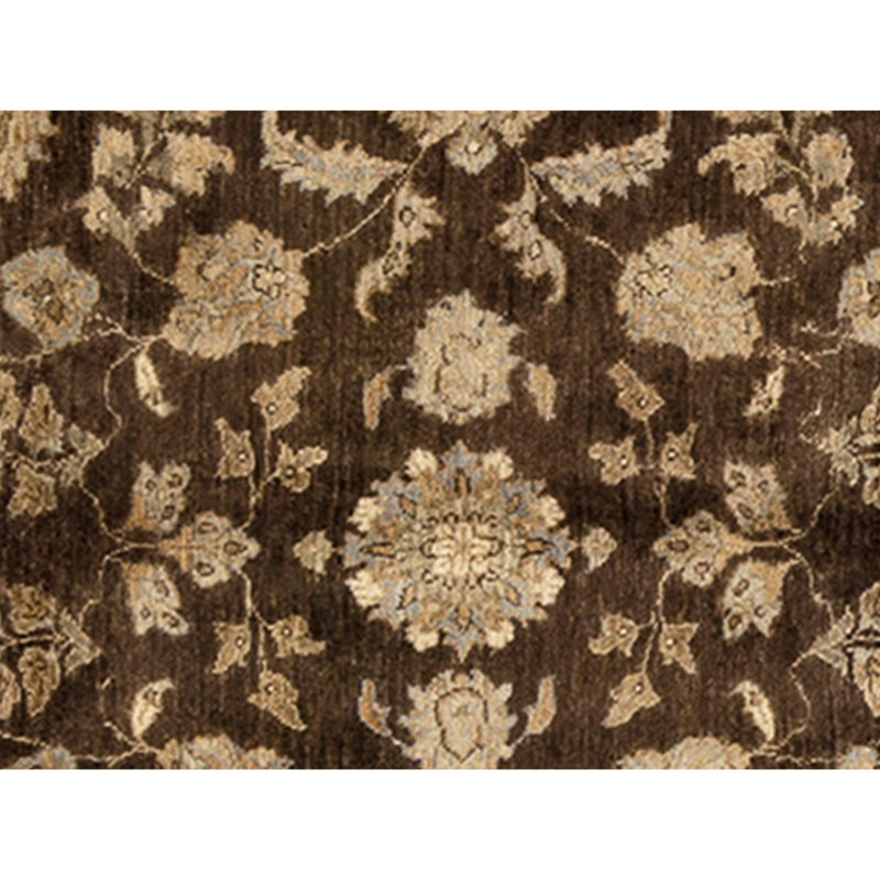 Hand Knotted Wool Area Rug in Brown/Gold