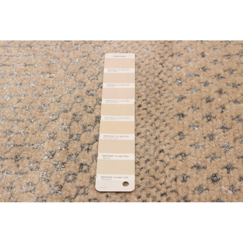 Tapis beige en soie ombre 10 pi 1 po x 13 pi 9 po