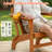 Foldable Outdoor Adirondack Chair-770189396-755455947