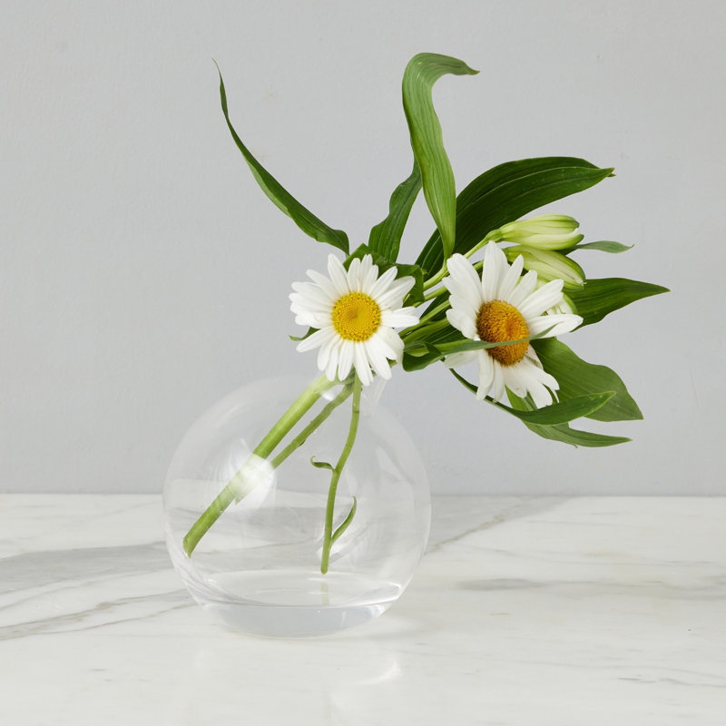 Vase sphérique en verre transparent, Clair