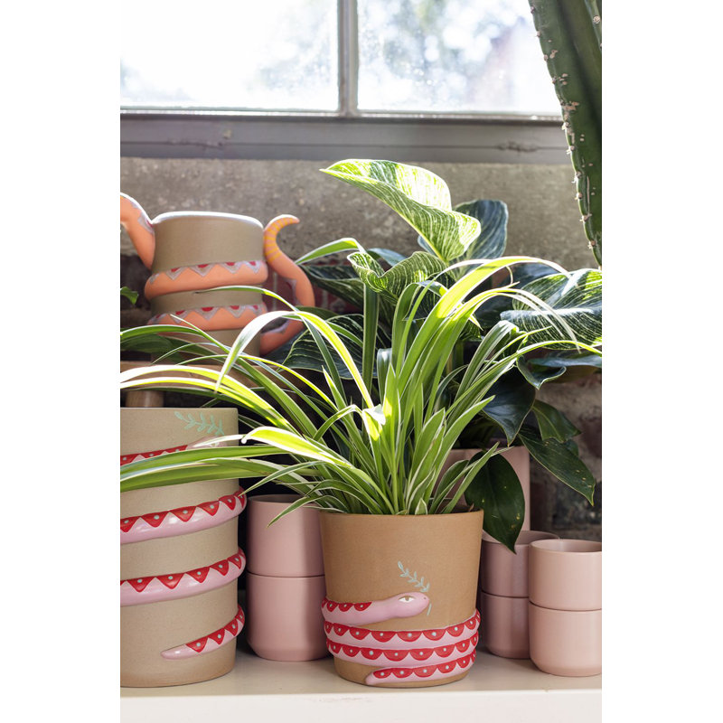 Brayah Ceramic Pot Planter