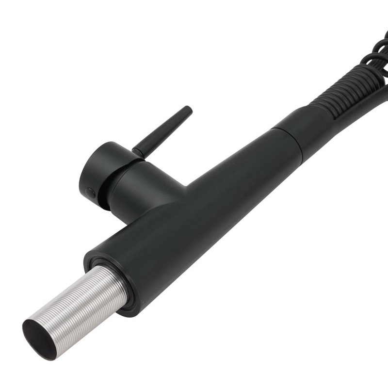 Belfry Kitchen Dunfee Pull Out Kitchen Faucet, Matte Black