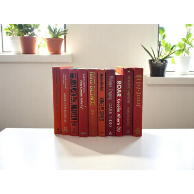 Livres décoratifs rouges (au pied)