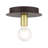 Alcalde Flush Mount-1852776229