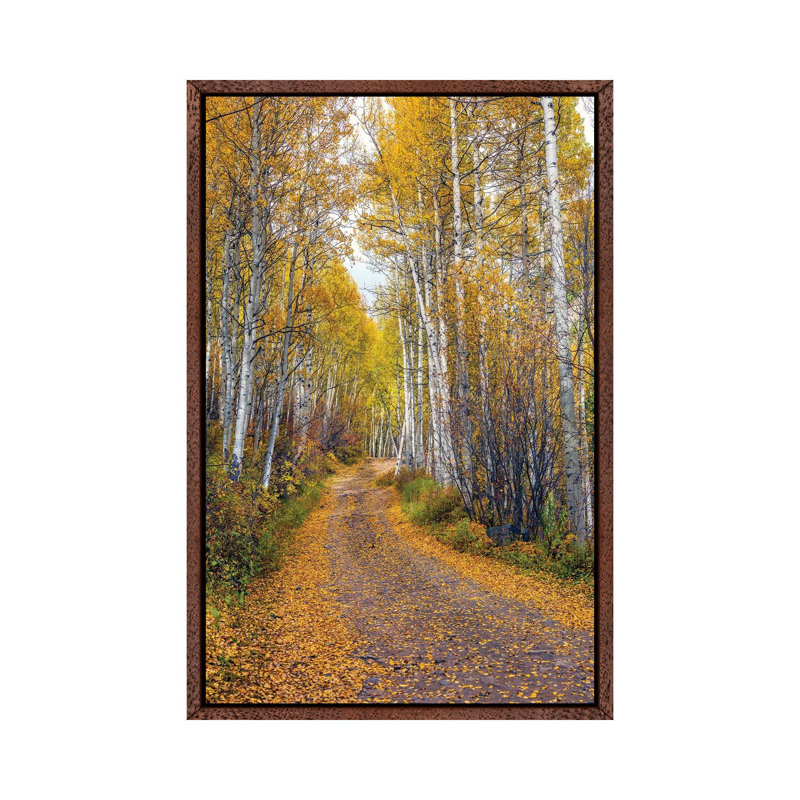 Fall In Aspen Colorado 1 Piece Wall Art on Canvas, 66.04 cm H x 45.72 cm W, Classic Wood Framed