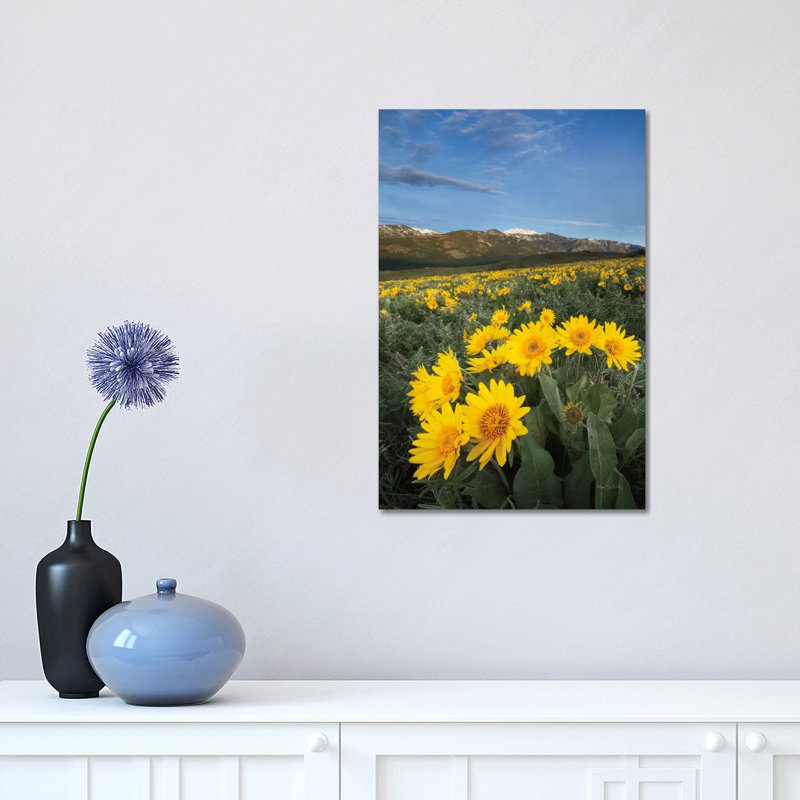 Methow Valley Wildflowers III by Alan Majchrowicz - Wrapped Canvas Print, 45.72cm H x 30.48cm W x 1.91cm D