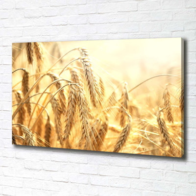 Grain - Wrapped Canvas Print
