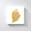 "Decorative Shell II" par Tava Studios, reproduction sur toile