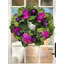 30" Wreath Decorated With Sedum, Mums And Orchids