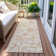 Srija Washable Paisley Indoor / Outdoor Rug