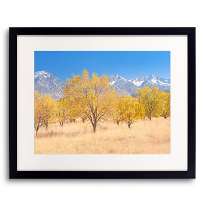 Bruce Heinemann " Bishop Autumn Pasture California " by Bruce Heinemann