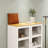 Two-Door Three-Tier Shelf Bookcase Cabinet