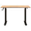 Adjustable Height Standing Desk-1734874605-1734874607