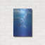 Art mural en métal luxueux «Under Sea Dolphins» par Tim O'Toole, 24 po x 36 po-1661473771