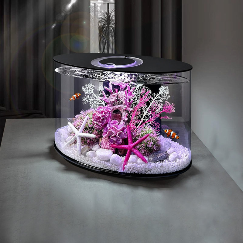 Acrylic Desktop Fish Tank