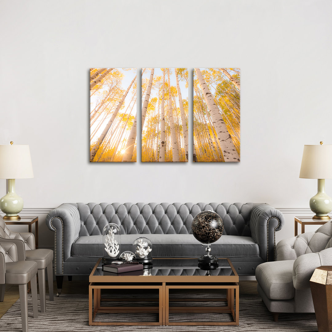 'Colorado' Photograph Multi-Piece Image on Wapped Canvas