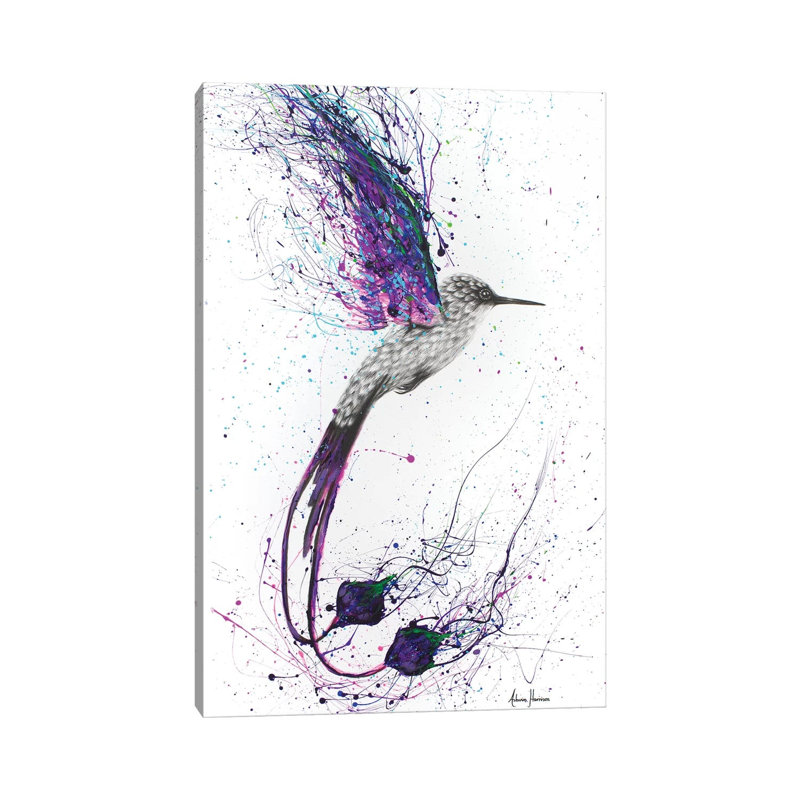 Flying Ace by Ashvin Harrison - Print on Canvas, 20.32 cm H x 30.48 cm W, Wrapped Canvas