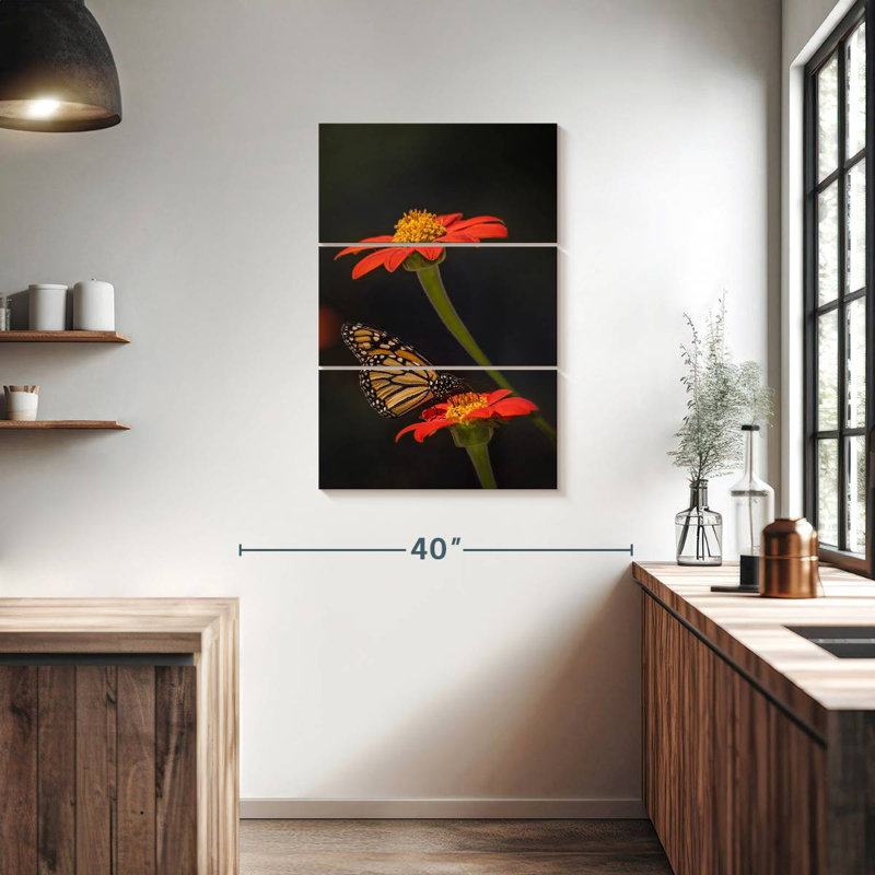 Portrait de papillon I, H 38 po x l 24 po