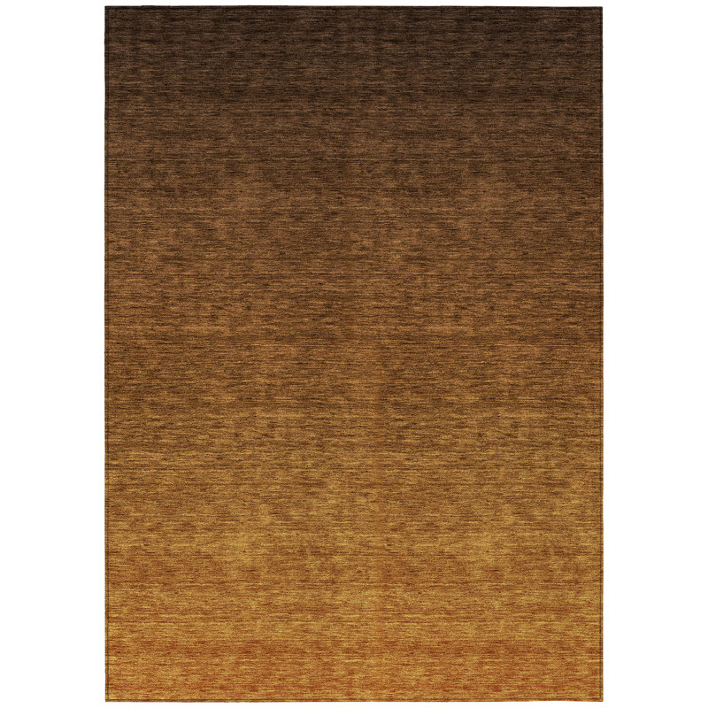 Yuleimi Washable Ombre Indoor / Outdoor Rug, Rectangle 10' x 14'