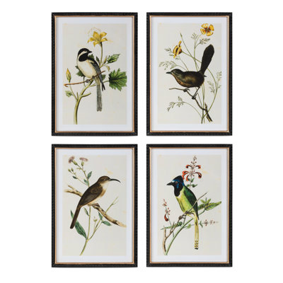 Summer Bird Framed Prints