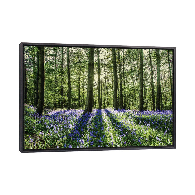 «Bluebell Wood», reproduction, H 18 po x l 26 po x P 1,5 po, Toile avec cadre noir patiné