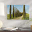 « cypress lineed saleté road », reproduction de photo sur toile-29175931-72773282-72777430