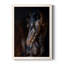 «Galaz Sunlit Horses I», reproduction d'art sur toile simple-88378344-88378345