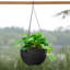 Medium Plastic Rattan Hanging Planter-773218876