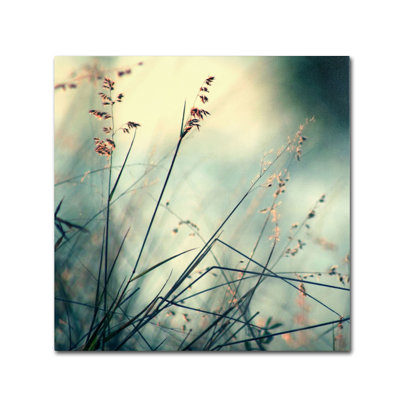 " About Hope " Print