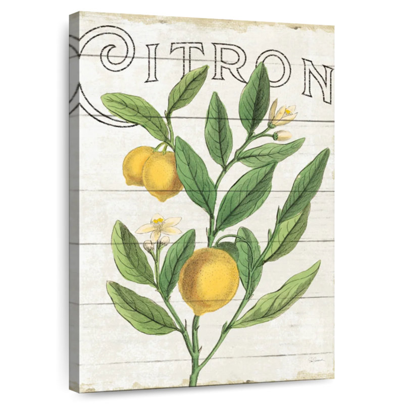 Yarlin Classic Citrus I Shiplap, H 24 po x l 16 po