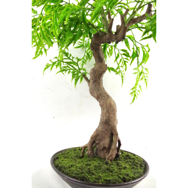 Anastassios 45cm Faux Bonsai Tree in Pot
