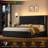 Sturminster Velvet Wingback Upholstered LED Light 2 Drawer Storage Bed-1878212720-1877972654