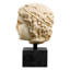 Bust of a Youth Marble