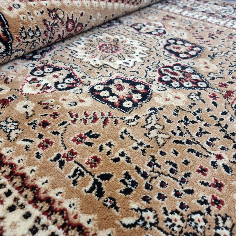 Arranjeet Oriental Area Rug, Rectangle 120 x 170cm