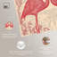 In Flamingo's Eyes -841561239-841561245