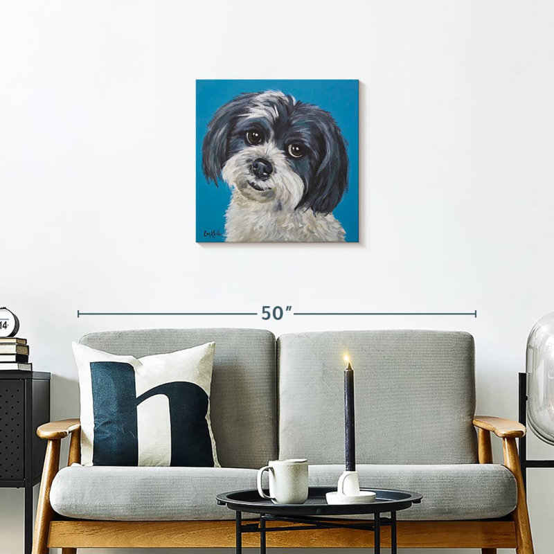 Corbeau maltais Shih Tzu, H 20 po x l 20 po