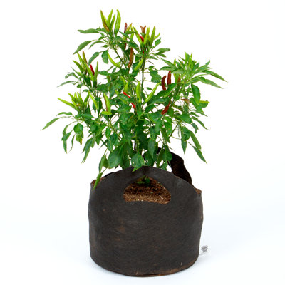 Pot Planter