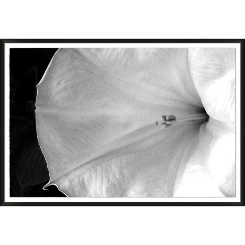 Abstracted Floral 1' Framed Photographic Print on Glass