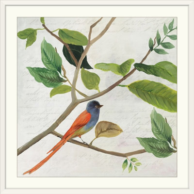 « ii » asia jensen, impression Singing Bird