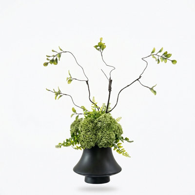 Arrangement organique moderne dans un pot