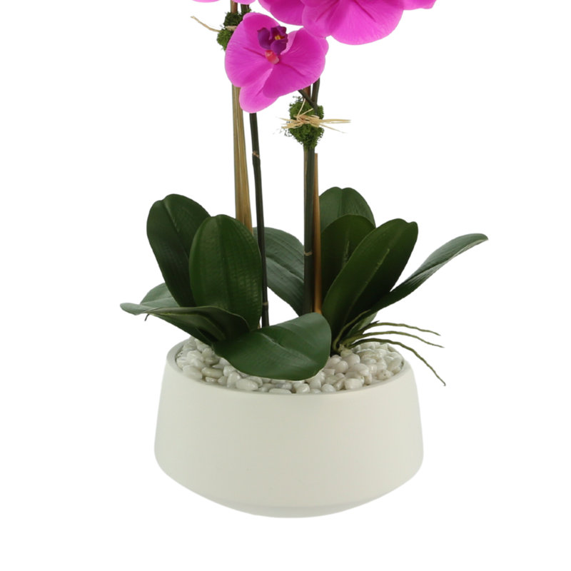 Orchids In A White Container With Rocks