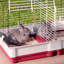 Rabbit Cage-65640383