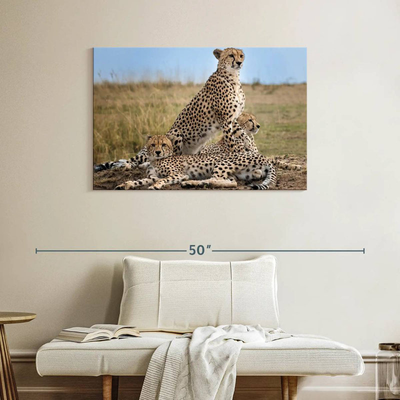 Brampt Wild Cat Coalition, 26" H x 39" W