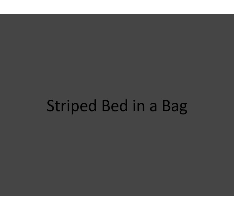 Blue Queen Microfiber Reversible Bed in a Bag Set