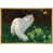 Natural Floater Frame n'est pas disponible