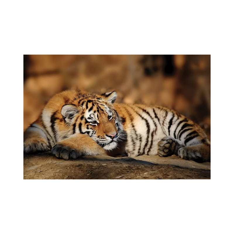 Tiger XII by Goran Anastasovski - Wrapped Canvas Print, 66.04 cm H x 45.72 cm W x 3.175 cm D