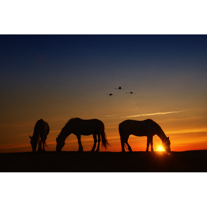 Fly Over - Photograph, 81 cm H x 122 cm W, Black Floater Frame