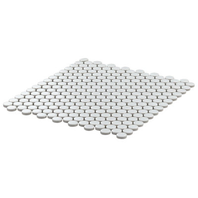 Eden 1" Rimmed Penny Round Matte Porcelain Mosaic Tile